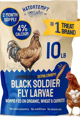 10LB Black Soldier Fly Larvae for Chickens
