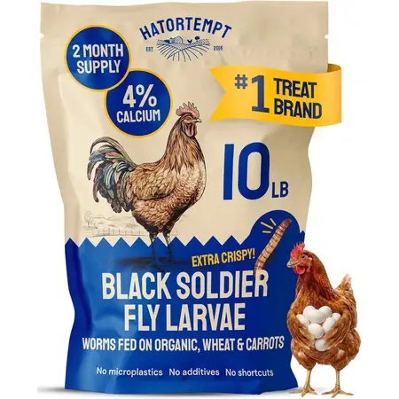10LB Black Soldier Fly Larvae for Chickens