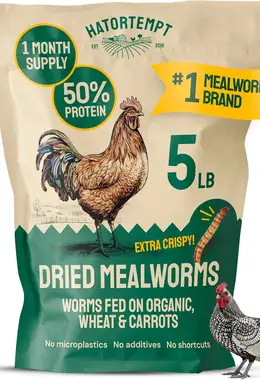 5 Lb Bag Dried Mealworms for Chickens