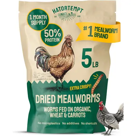 5 Lb Bag Dried Mealworms for Chickens