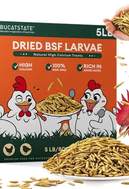 5LB Dried Black Soldier Fly Larvae