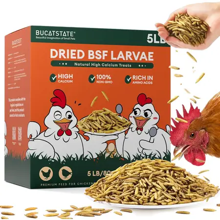 5LB Dried Black Soldier Fly Larvae