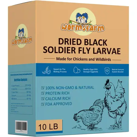 Dried Black Soldier Fly Larvae for Laying Hen