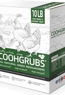 Natural Dried Mealworms Non-GMO Meal Worms for Chickens